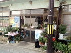 Kumaki Flower Shop