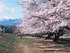 松川運動公園